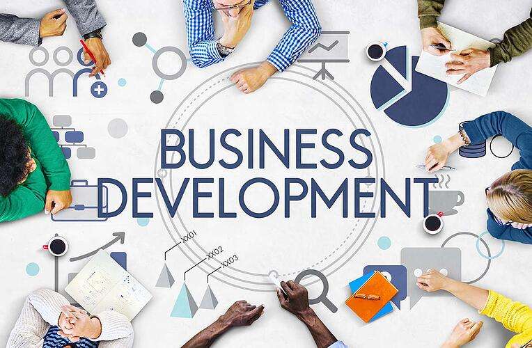 explain new business development